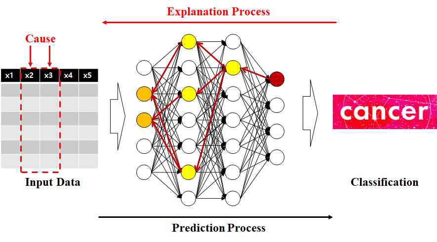 설명 가능한 딥 신경망을 통한 판단 근거 제시 모델 개념도