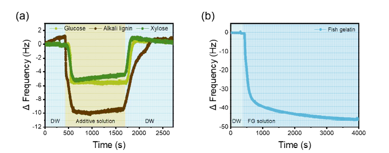 QCM-D로 분석한 나노셀룰로오스 표면과 수용성 바이오폴리머의 상호작용 : (a) CNF 표면에 서 글루코스, 알칼리 리그닌, 자일로스의 흡착 및 탈착 거동, (b) CMCNF 표면에서 어류 젤라틴의 흡착 거동.