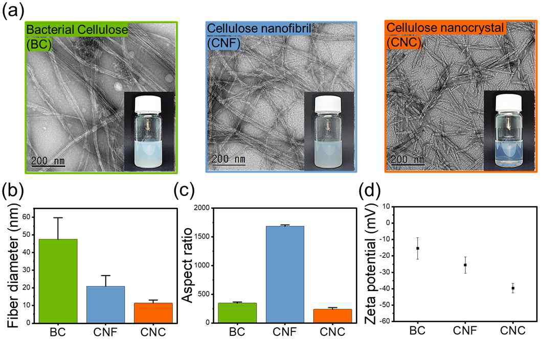 나노셀룰로오스의 생산 방법에 따른 몰폴로지의 차이. (a) 투과전자현미경 이미지, (b) 섬유 직경, (c) 섬유종횡비, (d) 제타전위 측정 결과