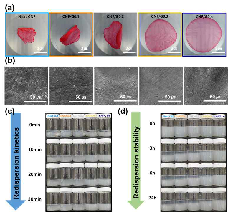 글루코스의 첨가가 나노셀룰로오스의 건조 및 재분산에 미치는 영향. (a) 나노셀룰로오스/글루 코스 건조 필름의 광학 이미지, (b) 주사전자현미경 이미지, (c) 나노셀룰로오스/글루코스 건조 필름의 재분산 속도, (d) 글루코스가 제거된 나노셀룰로오스 분산용액의 안정성