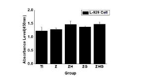 L-929 치은섬유아세포 독성평가