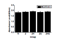 MC3T3-E1 조골세포 분화평가