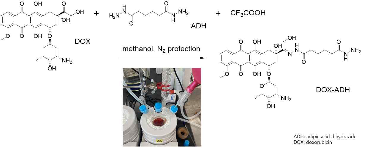 DOX-ADH 합성 화학반응
