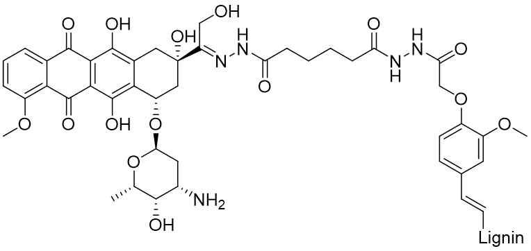 최종적으로 결정된 하이드라존 결합이 부여된 리그닌-약물 컨쥬게이트 화학식 설계도