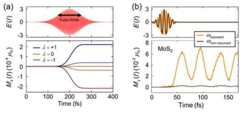 원형-편광 전기장 펄스를 이용하여 시간에 따른 magnetic moment의 변화를 (왼쪽) WS2와 (오른쪽) MoS2에서 관찰한 결과
