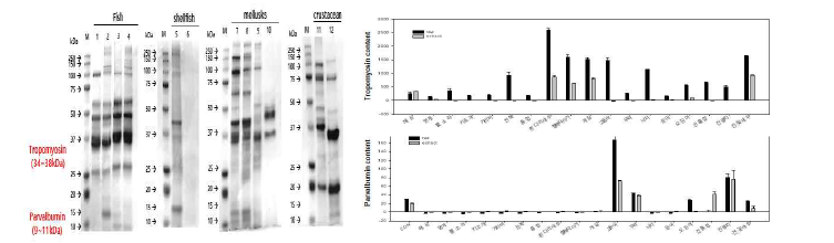 (A)SDS–PAGE analysis and (B)allergen contents in fishery food.