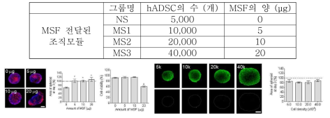 마이크로 전달체 기반 원격제어가능 조직모듈의 형성 및 활성 분석