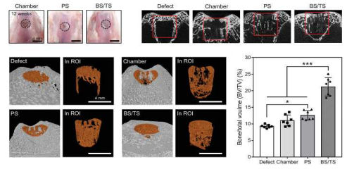 Micro-CT 장비를 활용한 골, 연골 조직의 재생 정도 평가 및 분석