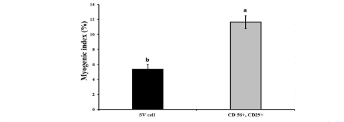 Morphological parameter of myogenic differentiationin SV cells. The myogenic index (%) was then calculated as: ([number of nuclei in myotubes] / [total number of nuclei] × 100). Mean± s.e.m. corresponds to experiments done in triplicate. Values in different letters (a,b,c) differ significantly (p<0.05)