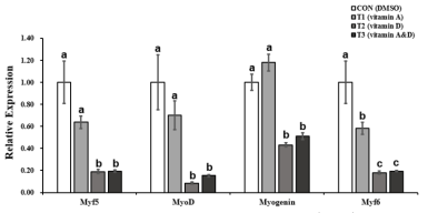 Expression of target mRNA after myogenic differentiation (Day6) in SV cells treated with all-trans retinoic acid and 1,25 vitamin D3 during the growth phase. Mean± s.e.m. corresponds to experiments done in triplicate. Values (mean ± SEM) in different letters (a,b) differ significantly (p < 0.05). SV cells were treated with control: DMSO, T1: ATRA 100 nM , T2: 1,25 vitamin D3 10 nM , T3: ATRA 100 nM & 1,25 vitamin D3 during the growth stage. The mRNA level of Target genes mRNA on myogenic differentiation day 6. ATRA: All-trans retinoic acid