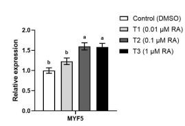 . Expression of target mRNAs in SV cells after proliferation (48h) treated with all-trans retinoic acid during the growth phase. SV cells were treated with control: DMSO, T1: 0.01 μM RA, T2: 0.1 μM RA, T3: 1 μM RA. a-c Means in the same row with different letter differ significant