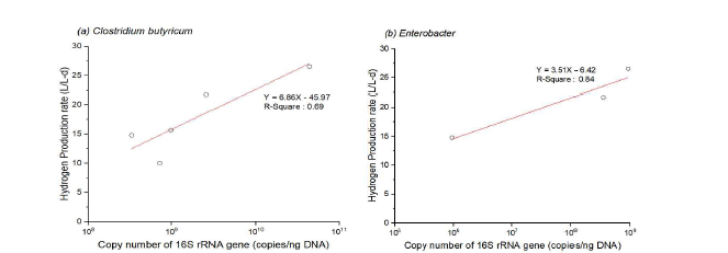 (a) Clostridium butyricum과 (b) Enterobacter copy number에 따른 수소 생산성능