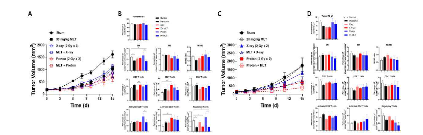 MLT와 X선/양성자 병행치료에 의한 종양면역반응 변화 확인