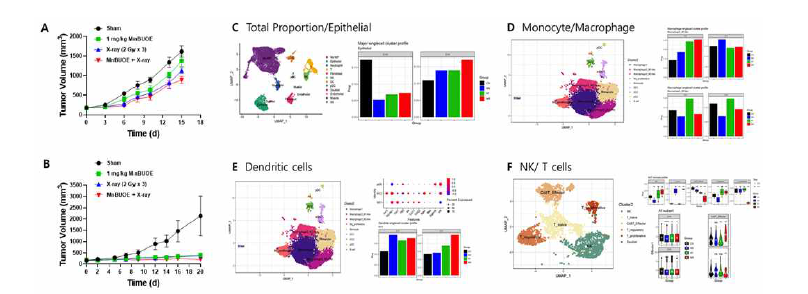 레독스활성약물 MnBuOE와 방사선 병행치료에 의한 종양미세환경 변화 확인을 위한 singel cell RNA seq 분석