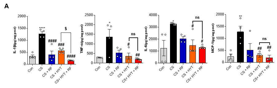 동물의 Serum에서 염증성 사이토카인 L-1β, TNF-a, IL-6, MCP-1의 변화를 확인하였음. 결과적으로, 단독흡 연군에 비해 HYT는 Serum의 염증성 사이토카인 수치가 감소됨을 확인함.