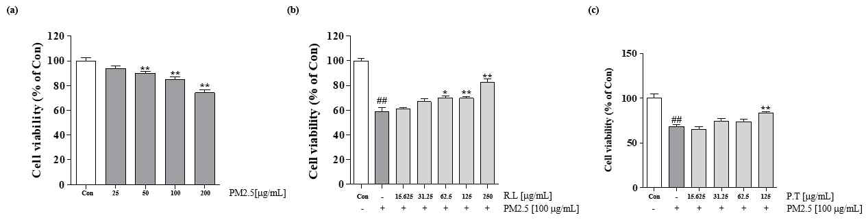 인간 폐포 상피 세포인 A549 세포에 PM2.5를 24시간 동안 처리하였을 때의 세포 독성(a) 을 확인 함. PM2.5는 50 μg/mL 이상의 농도에서 세포 사멸을 일으킴. PM2.5를 처리하기 1시간 전에 RL과 PT를 선 처리하여 세포 보호효과 (b-c)를 확인함. 분석 결과, RL은 62.5 – 250 μg/mL 농도에서, PT는 125 μg/mL 농도에서 PM2.5에 의한 독성으로부터 세포를 보호하는 효과를 나타내었음.