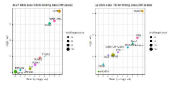 INO80 ChIP-seq 결과 림프관 내피세포 발생과정 중 promoter 부위에서 INO80의 선호도가 높은 DNA binding motif 조사 결과