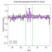 ETS2의 DNA binding 양상 변화 BaGFoot 분석 결과