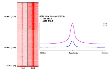 E10.5와 E12.5 생쥐 배아 림프관 내피세포 DNase sequencing 결과