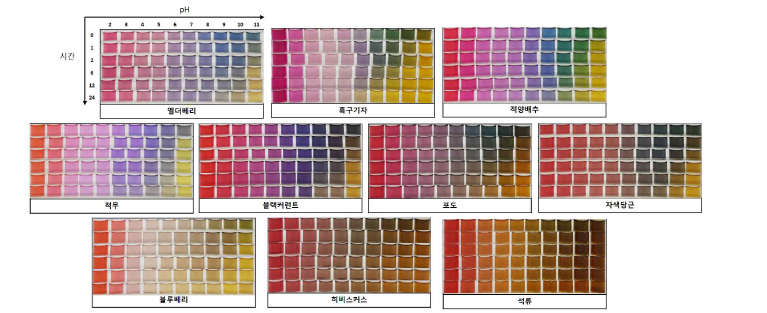 10종 후보 물질의 시간과 pH에 따른 색 변화 양상