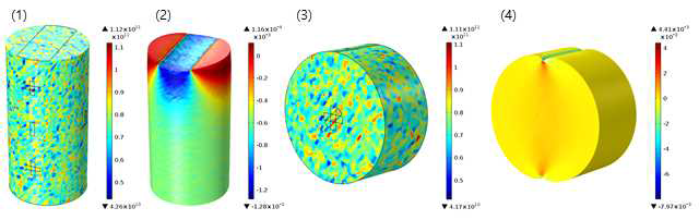 편재하중 수치 모델. (1) 원통형 시료에서의 탄성상수 E의 불균질성. (2) 편재하중에서 축방향 변형률 분포. (3) 간접인장시료에서의 탄성상수 E의 불균질성. (4) 간접인장시험에서 하중방향 변형률 분포. (Yim et al, 2022)
