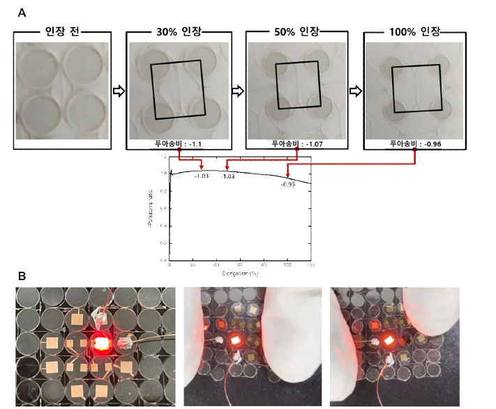 반도체 공정을 통한 메소 스케일에서의 스트레쳐블 디스플레이 컨셉 검증 (A) 인장 후 푸아송비가 예측과 같음 (B) 반도체 공정을 통해 SU-8으로 제작하고 구리 배선을 Align한 Anti-Chiral 구조가 인장, 복원 시에 발광 소자가 문제없이 모두 작동하는 것 확인