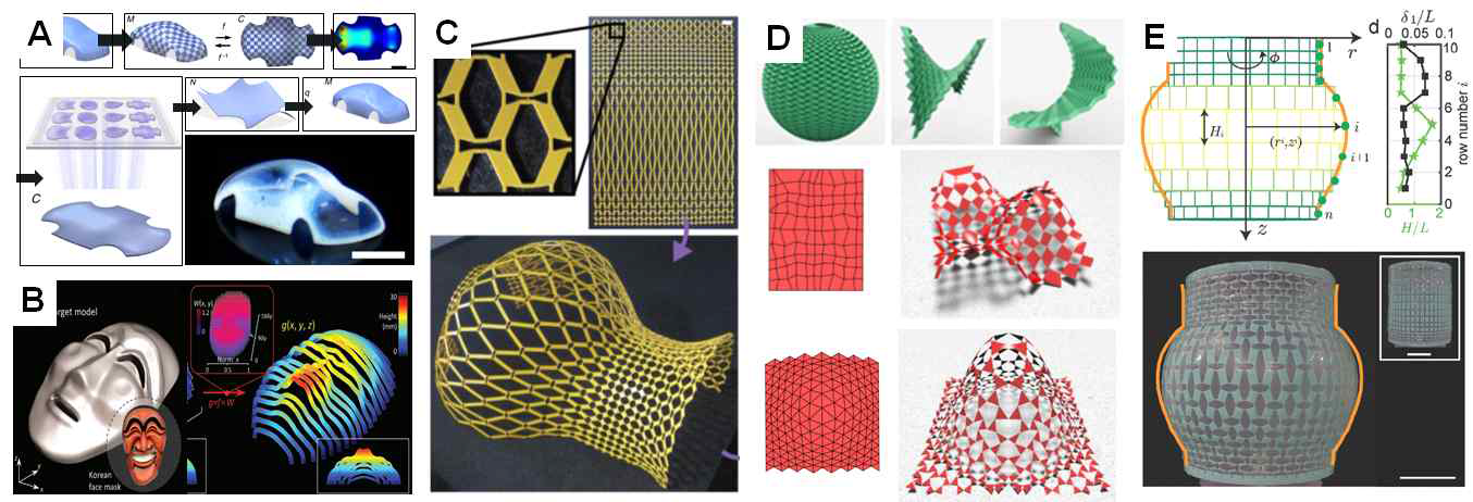 재료의 형상 설계 관련 최신 연구 동향. (A) 알고리즘 기반 하이드로젤의 가교밀도(Crosslink density) 제어를 통한 형상 설계 (미국 텍사스 알링턴 대학 윤경석 교수 연구진, 2021년). (B) 형상 기억 폴리머의 3D 프린터를 이용한 형상 설계 (서울대 조규진 교수 연구진, 2021년). (C) 키리가미 기반 3차원 형상 설계 (미국 캘리포이아공대 Daraio 교수 연구진, 2018년). (D) 알고리즘을 이용한 오리가미/키리가미 형상 역설계 (미국 하버드대학 Mahadevan 교수 연구진, 2019년). (E) 유한요소해석을 통한 키리가미 패 턴 복합체의 형상 역설계 (미국 하버드대학 Bertoldi 교수 연구진, 2020년).