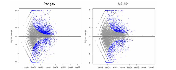 MA plot ( 왼쪽 동안, 오른쪽 454 ) visualizing the differentially expressed genes