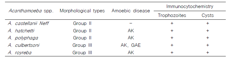 5종류의 가시아메바에 대한 ACAP 및 PBP 항체의 특이적 반응