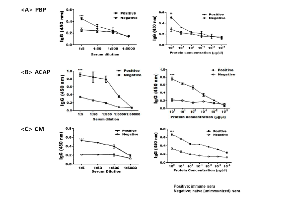 ELISA 분석을 통해 PBP, ACAP 및 CM 항체의 역가 측정