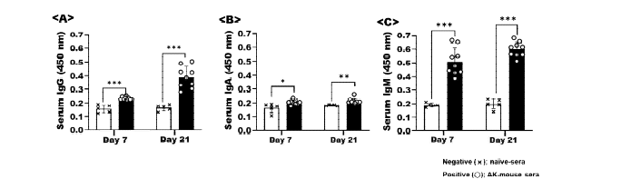 각막염 마우스 모델의 혈액에서 측정된 가시아메바 특이항체들 (A; IgG, B; IgA, and C:IgM)