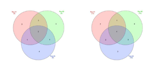 Kinase와 cell cycle guide RNA 풀에 대한 삼투압 스트레스 스크리닝 시 분포 변화