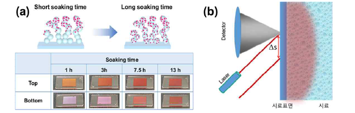 흡착 시간 (1~13시간)에 따른 TiO2 필름의 사진 (a); 흡착 시간에 비례해서 뒷면까지 색이 강하 게 발하는 것을 확인함. 시료의 깊이 프로파일을 위한 Micro-SORS 분석 모식도 (b)