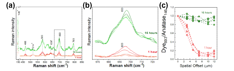 염료 흡착 시간을 1시간과 16시간으로 조절한 광전극의 micro-SORS 깊이 프로파일 반 복 분석 결과. 전체 영역 (a), 염료의 라만 신호 영역 (b)과 정밀성 반복 실험 결과 (c)