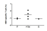 HBV-specific T cell 분포