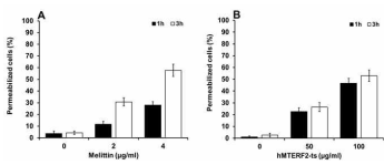 Cell membrane pore formation of Panc-1 cells by hMTERF2-ts was analyzed using trypan blue exclusion assay