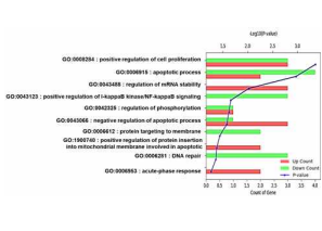 hMTERF2-ts treated Panc-1 cells were analyzed for up and down regulated genes of the top 10 genes using DAVID