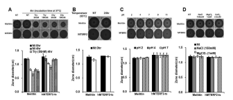 Protease, Temperature, pH, and salt stability of hMTERF2-ts. C. albicans with melittin and hMTERF2-ts that was exposed to (A) trypsin, chymotrypsin (50 nM, 100 nM) for incubation (37 ℃, 4 h) and (B) temperatures (95 ℃), (C) pH range of 2 ~ 11 and (D) salt of 150 mM NaCl, 1 mM MgCl2, 2.5 mM CaCl2 for incubation (37 ℃, 24 h)