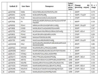 Amino acid sequence and characteristics of MTS used in this experiment