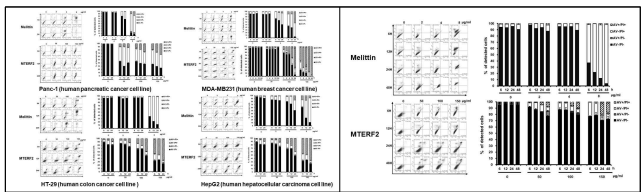 The flow cytometry results of Annexin V/PI double staining of cancer cell lines and normal cell line by bars depict. hMTERF2-ts was treated with (A) Panc-1, (B) MDA-MB231, (C) HT-29, (D) HepG2 and (E) HaCaT cells at concentrations of 50, 100, 150 µg/ml over time followed by Annexin V/PI double staining flow cytometry results using were compared with melittin. The results are presented as the percentage of viable live cell (AV- PI-), early apoptotic cells (AV+ PI-), necrosis (AV-PI+), late apoptotic cells (AV+PI+)