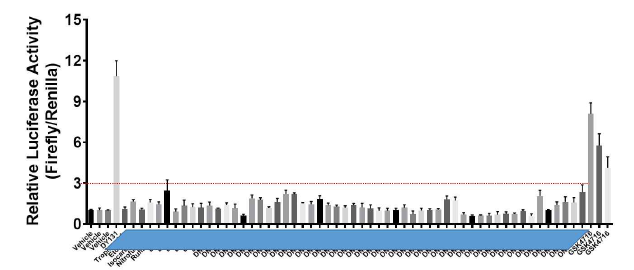 ERRγ-Reporter Assay (10 μM) 40여종 (1차년도 물질 스크리닝 결과)