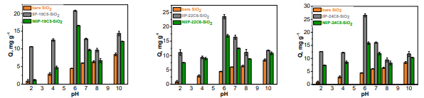 a) Cs+ adsorption under varying pH conditions by bare SiO2 (orange), IIP-19CE5-SiO2 (gray), and NIIP-19CE5-SiO2 (green). b) Cs+ adsorption under varying pH conditions by bare SiO2 (orange), IIP-22CE6-SiO2 (gray), and NIIP-22CE6-SiO2 (green). c) Cs+ adsorption under varying pH conditions by bare SiO2 (orange), IIP-24CE8-SiO2 (gray), and NIIP-24CE8-SiO2 (green)