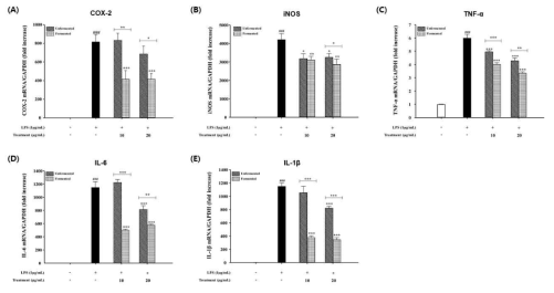 염증성 사이토카인의 발현량 변화 (A) COX-2 (B) iNOS (C) TNF-α (D) IL-6 (E) IL-1β