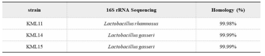 선발 균주의 16S rRNA sequencing 동정