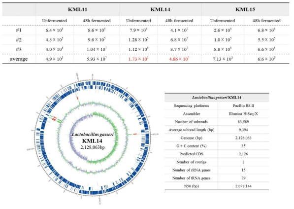 Lactobacillus gasseri KML14 whole genome sequencing 결과