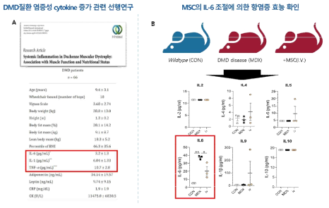 중간엽 줄기세포 정맥 투여 후 혈액 내 염증성 싸이토카인 분석 결과