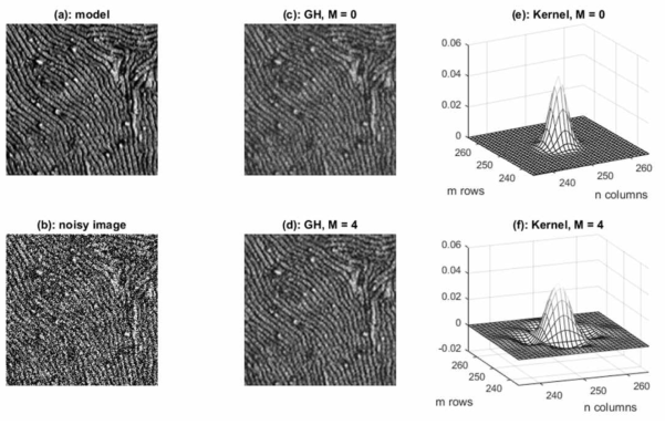 (a) model image and (b) noisy image. (c,d) filtered images smoothed by the G-H with M = 0 and M = 4, respectively. The kernels for the G-H with M = 0 and M = 4 are shown in (e) and (f), respectively