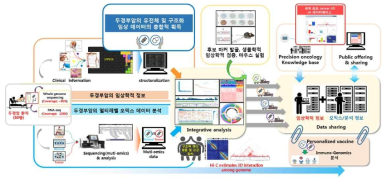 연구의 구조