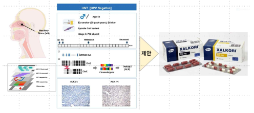 두경부암에서의 구조변이로 인한 슈퍼 인핸서 강탈 및 구조 변이 표적의 항암 치료법 발굴