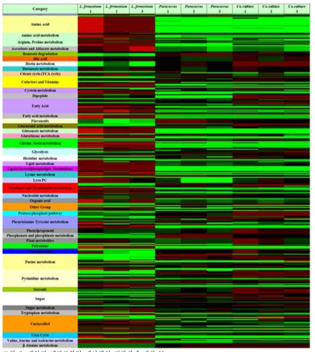 배양된 세포로부터 대사체의 정량화에 대한 Heat map